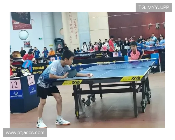 重庆乒乓球队速度之美探秘展现运动魅力与团队精神