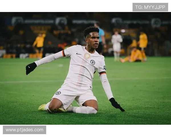 探索埃斯特旺的魅力与历史深度，揭开这座城市的独特面纱与文化底蕴