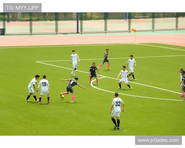 瑞典与罗马尼亚精彩对决集锦回顾分析与精彩瞬间分享